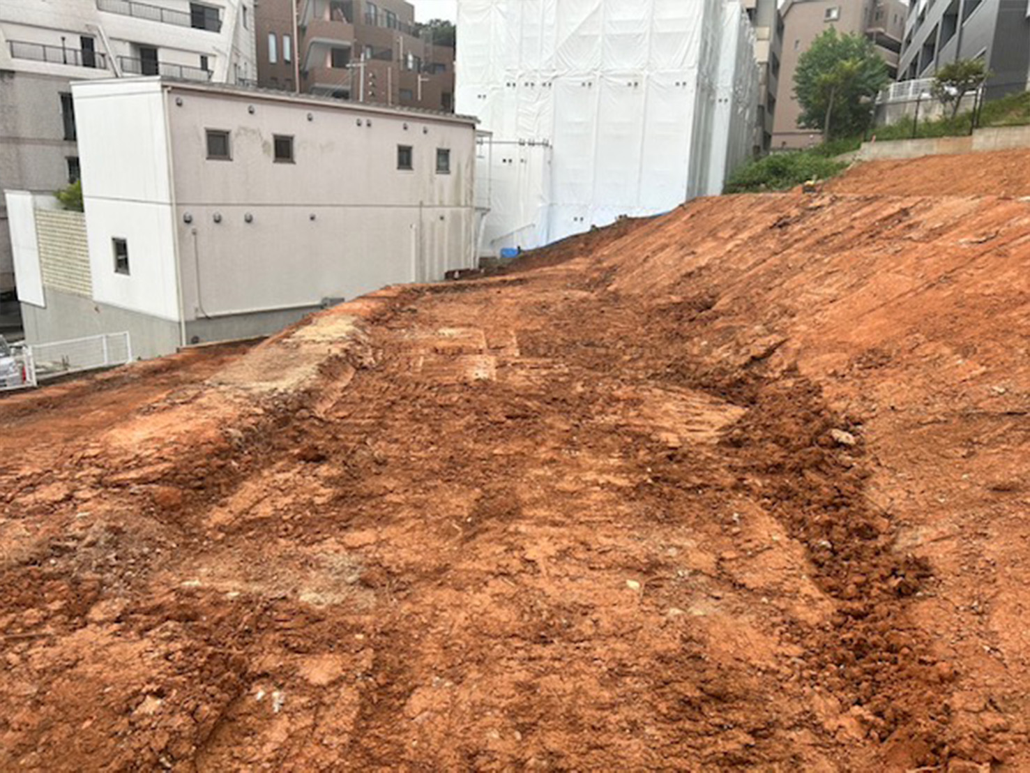 中央区樹木伐採・抜根造成工事