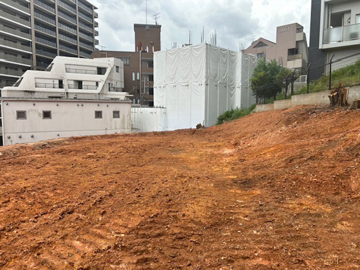 中央区樹木伐採・抜根造成工事